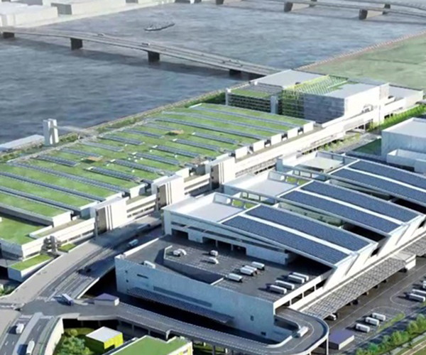 豊洲市場